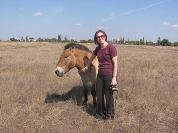 Лошади Пржевальского «завели» свой блог